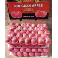 Frischer Qinguan-Apfel mit Streifenfarbe